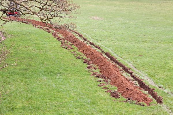 Cost of Swale Installation in Broomfield