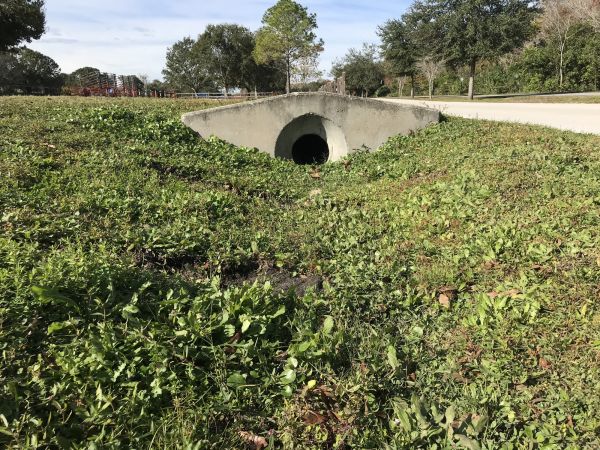 Cost of Swale Drainage Service in Broomfield
