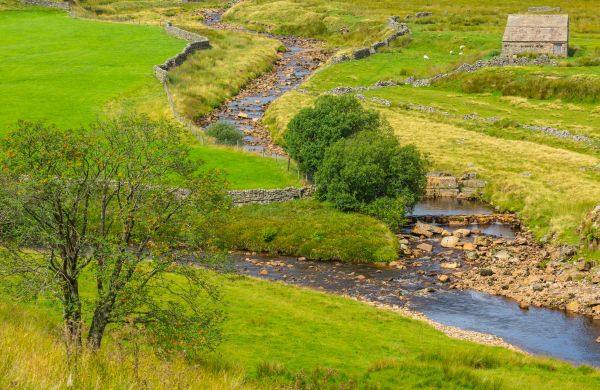 Swale Repair in Broomfield